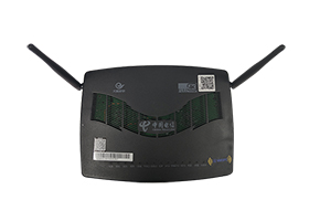 ZN800 GPON